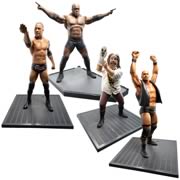 WWE Unmatched Fury Platinum Edition Wave 5 Figures Case