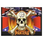 Pantera Flag and Skull Fabric Poster Wall Hanging
