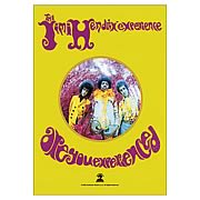Jimi Hendrix Are You Experienced Fabric Poster Wall Hanging
