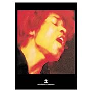 Jimi Hendrix Electric Ladyland Fabric Poster Wall Hanging