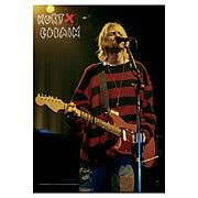 Kurt Cobain Stage Fabric Poster Wall Hanging