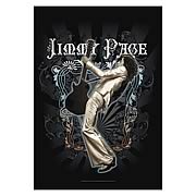 Jimmy Page Guitar Fabric Poster Wall Hanging