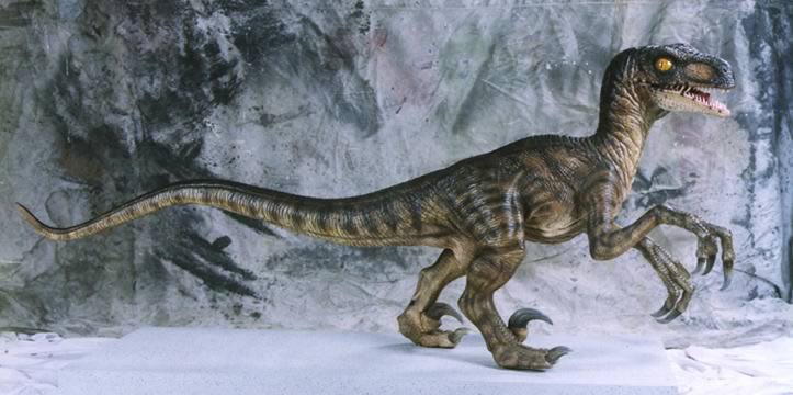 Velociraptor Replica