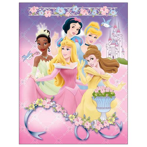 Disney Princesses Small Photo Album