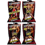 WWE FlexForce Action figure Wave 4 Case