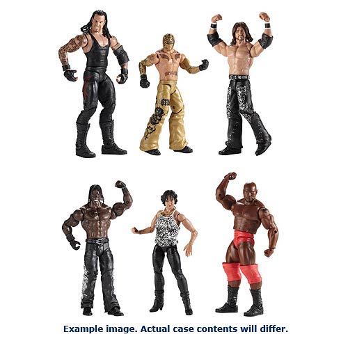 WWE Basic Figure Series 29 World Champions Figure Case