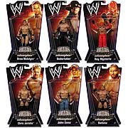 WWE Series 8 Action Figure Case