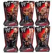 WWE Series 14 Action Figure Case