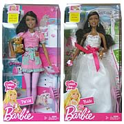 Barbie I Can Be African American Dolls Case