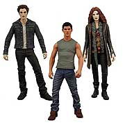 Twilight Eclipse Action Figures Series 1 Case