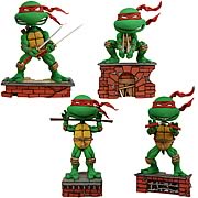 Teenage Mutant Ninja Turtles Bobble Head Case