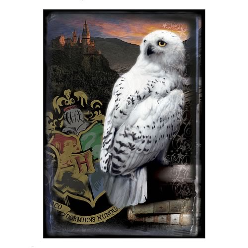 Harry Potter Hogwarts Castle and Hedwig Puzzle