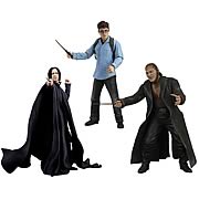 Harry Potter Deathly Hallows Series 1 Action Figure Case