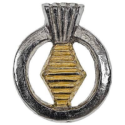 Star Trek Master Chief Petty Officer Rank Pin