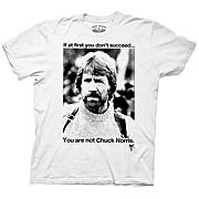 Chuck Norris If At First You Don