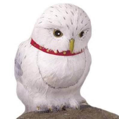 Harry Potter Movie Hedwig The Owl