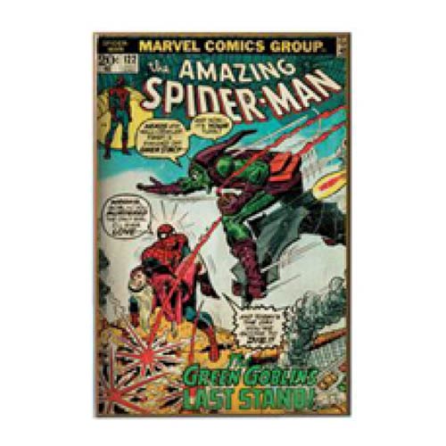 Spider-Man vs. Green Goblin Comic Book Cover Wood Wall Art