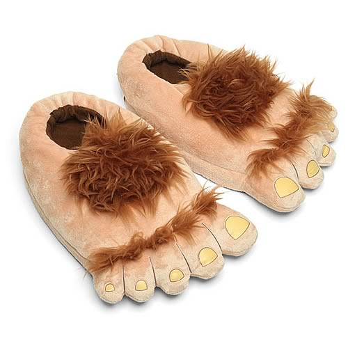 Furry Adventure Slippers
