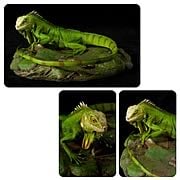 Cold-Blooded Collectibles Green Iguana Statue Sculpture