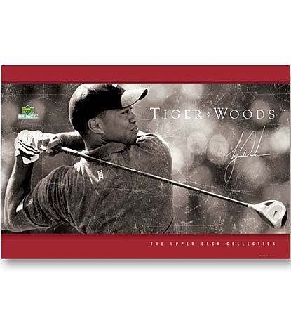 PGA Tiger Woods Poster Collection - Driven