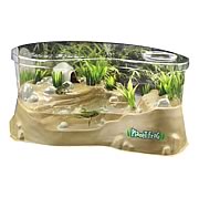 Planet Frog Live Frog Habitat