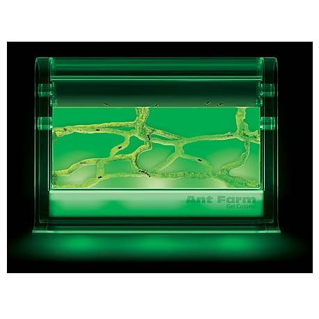 Ant Farm Gel Colony with LED Light Module