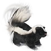 Remote Controlled Skunk