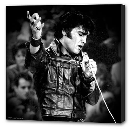 Elvis Presley Singing Small Stretched Canvas Print