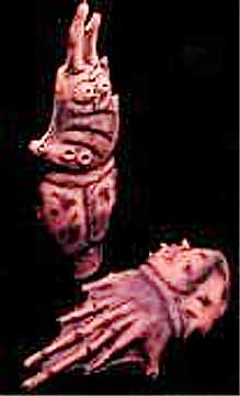 Admiral Ackbar Hands