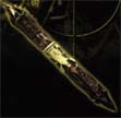 Predator: Combi/Bone Spear