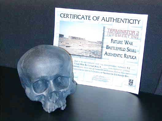 T-2: Battlefield Skull
