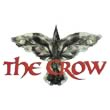Crow