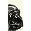 Star Wars Darth Vader Canvas Giclee