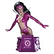 Heroes of the DC Universe Blackest Night Star Sapphire Bust
