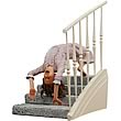 THE EXORCIST Regan Spider-walk Figure