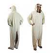 Costumes
