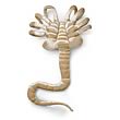Order the Aliens Face Hugger Poseable Plush from Entertainment Earth