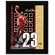 LeBron James Signed Away/Red Jersey Number