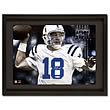 Peyton Manning Signed Throwing Away/Mini Jersey Number