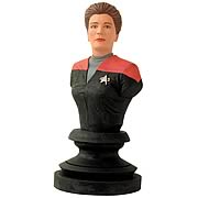 Star Trek Icons Captain Janeway Bust