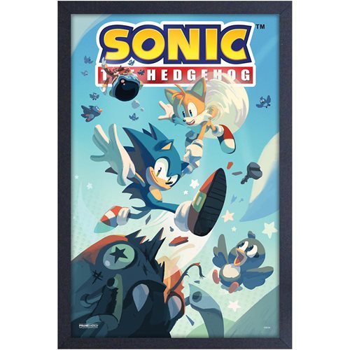 Sonic the Hedgehog Flying Birds Framed Art Print