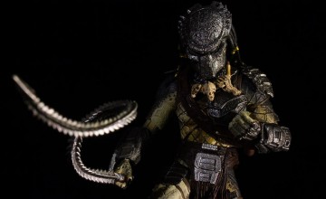 Wolf Predator