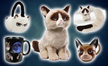 Grumpy Cat