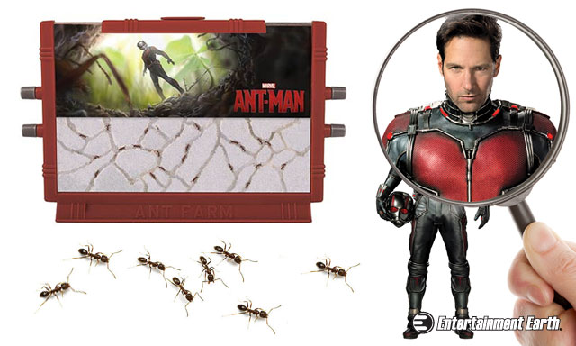 ant-man-ant-farm-640