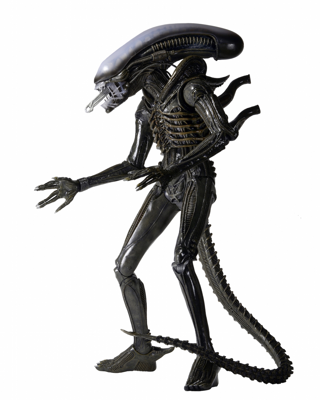 Quarter-Scale-Big-Chap-Alien-002