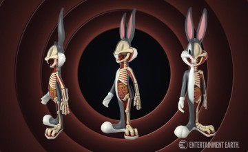 Bugs Bunny Anatomical Figure