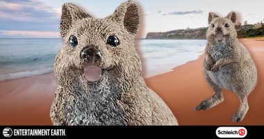 We Love the Quokka!